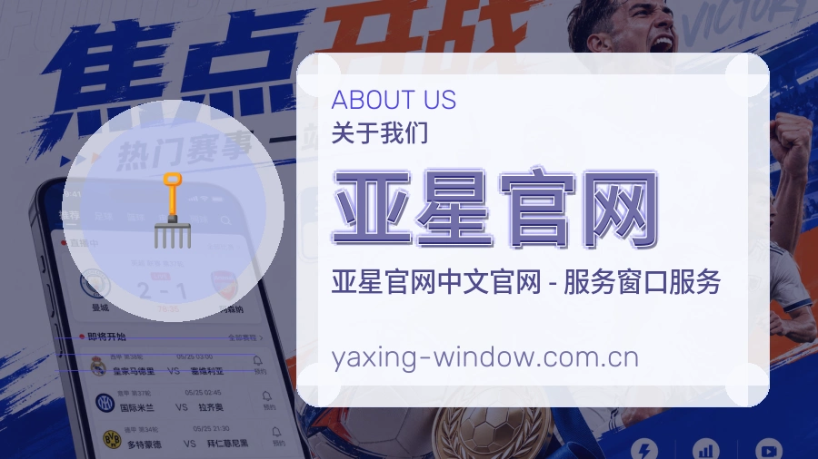 亚星官网公司简介与平台服务展示